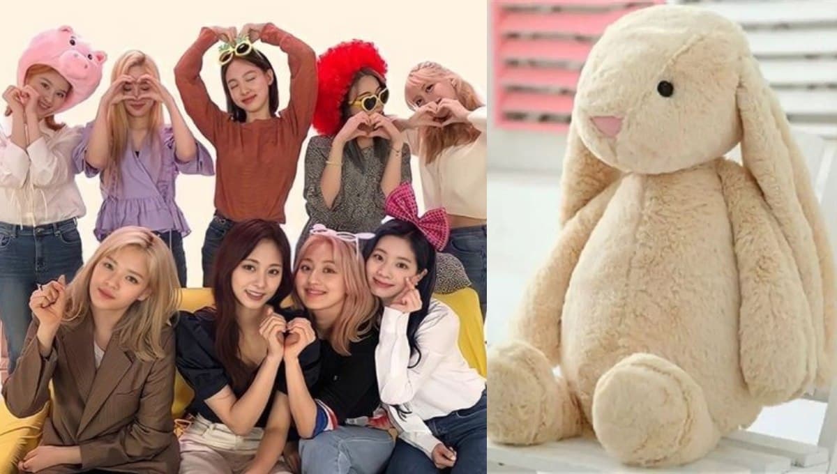Escoge un peluche y adivinaremos tu bias de TWICE