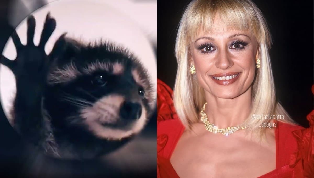 Canción del mapache ‘Pedro’ de Raffaella Carrá: letra, traducción en español y video oficial