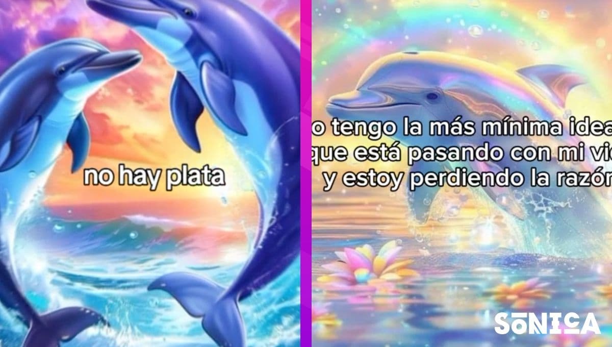 ¿Qué significa "Symphony" el meme del delfín viral en TikTok?